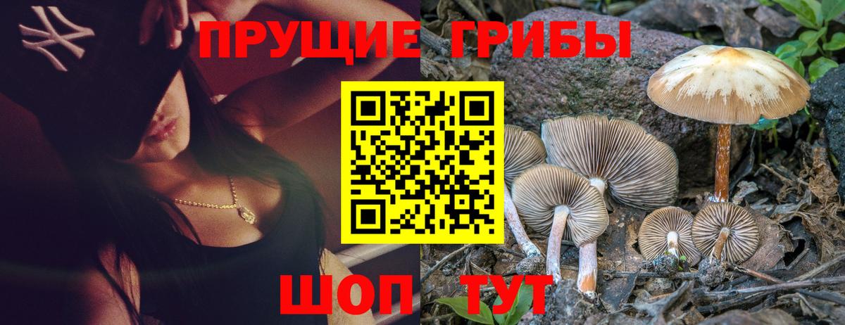 Галлюциногенные грибы Psilocybine cubensis Острогожск
