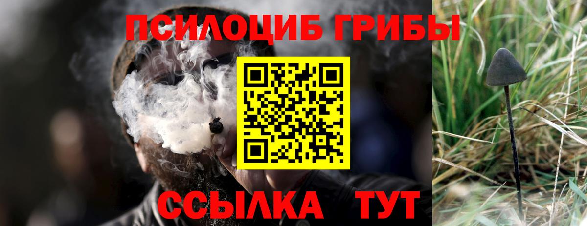 магазин  наркотиков  Вход с VPN  Острогожск  Галлюциногенные грибы мицелий 